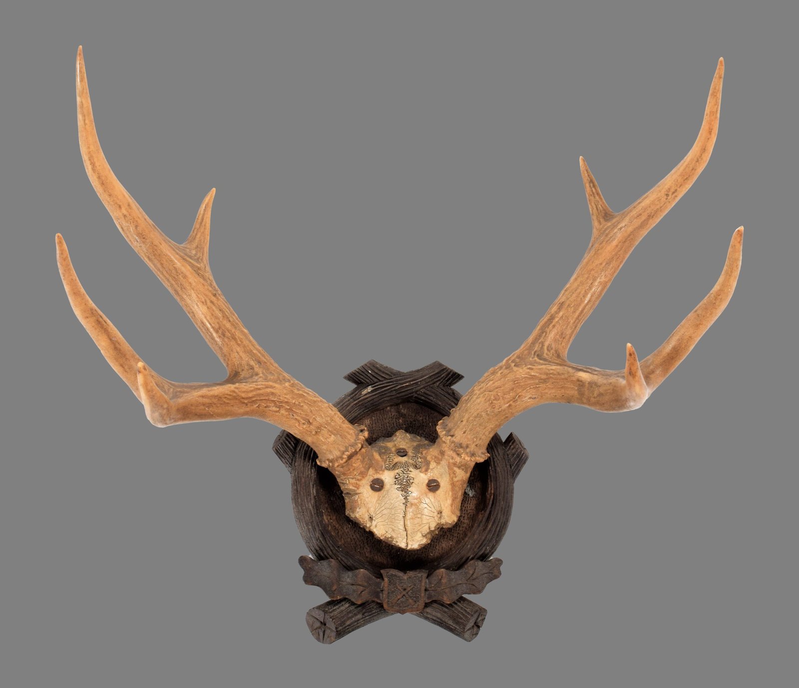 Antler Export Service